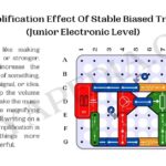 Amplification Effect Of Stable Biased Triode (JuniOr Electronic Level)