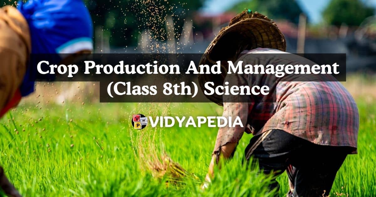 Crop Production And Management (Class 8th) Science