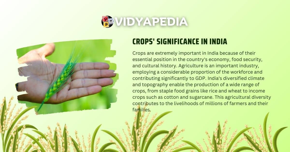 Crops' significance in India