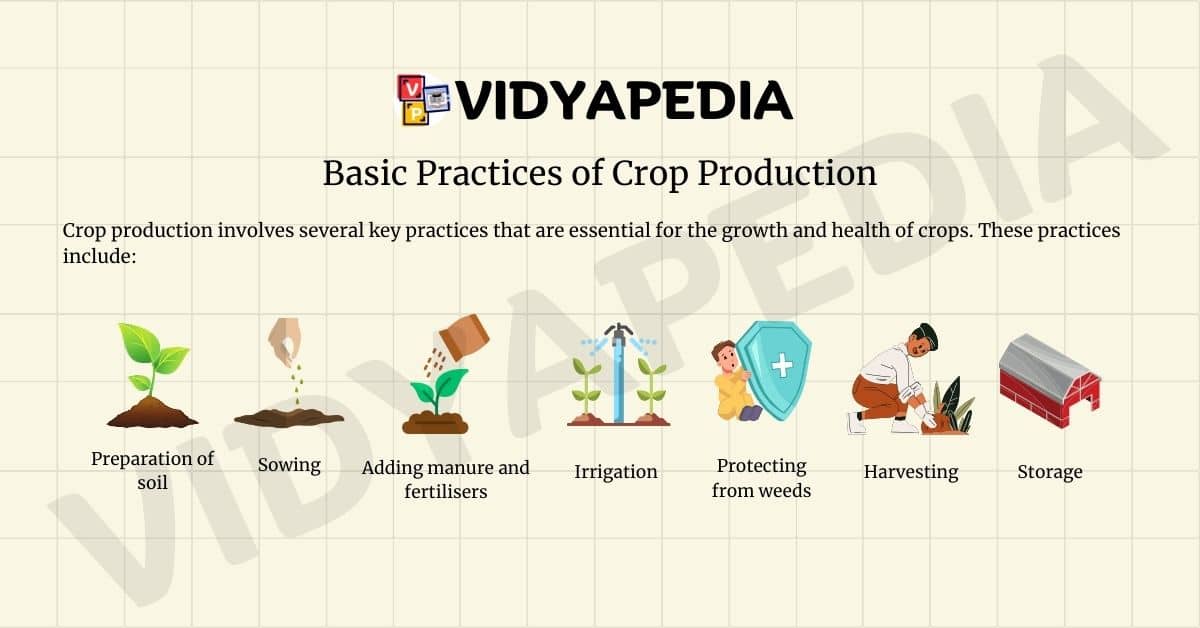 Basic Practices of Crop Production or Agricultural Practices