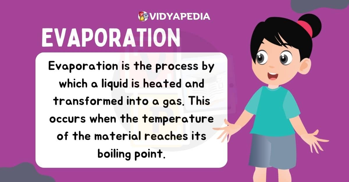Evaporation Changing State Of Matter