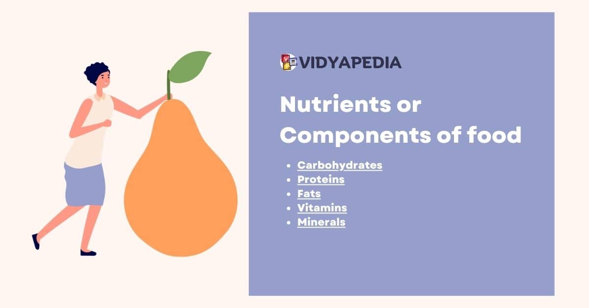 Nutrients or Components of food
