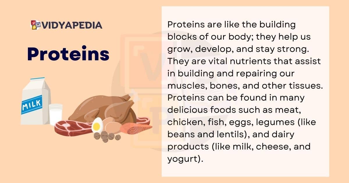 Proteins