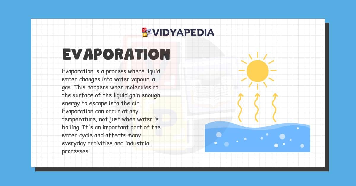 What Is Evaporation